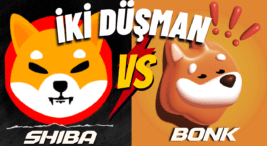 Shiba vs bonk